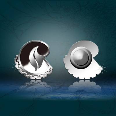 商務(wù)定制禮品的藝術(shù) 從紀(jì)念章、銀幣到項目策劃的全方位公關(guān)解決方案